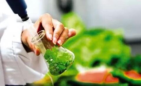 9月8日,大眾網記者從山東省市場監督管理局了解到,為進一步保障食品安全,省市場監管局對餐飲食品、淀粉及淀粉制品、豆制品、糕點、酒類、糧食加工品、肉制品、乳制品、食用農產品、蔬菜制品、水果制品、速凍食品、特殊醫學用途配方食品、調味品和飲料共15大類食品53?