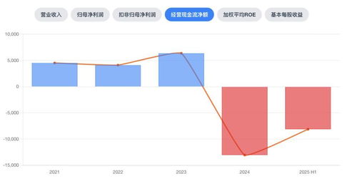 中創(chuàng)股份 上市光環(huán)下的業(yè)績變奏與增長隱憂